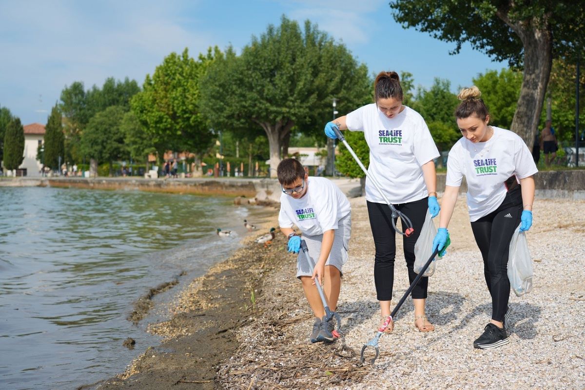 Green Retail  - Giornata mondiale degli oceani: Gardaland Sea Life Aquarium partecipa alle 24 ore di “Global Beach Clean” e coinvolge dipendenti e famiglie 