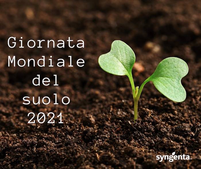 Green Retail  - Giornata Mondiale del Suolo - Syngenta: un sistema di coltivazione più sostenibile per un suolo più sano 