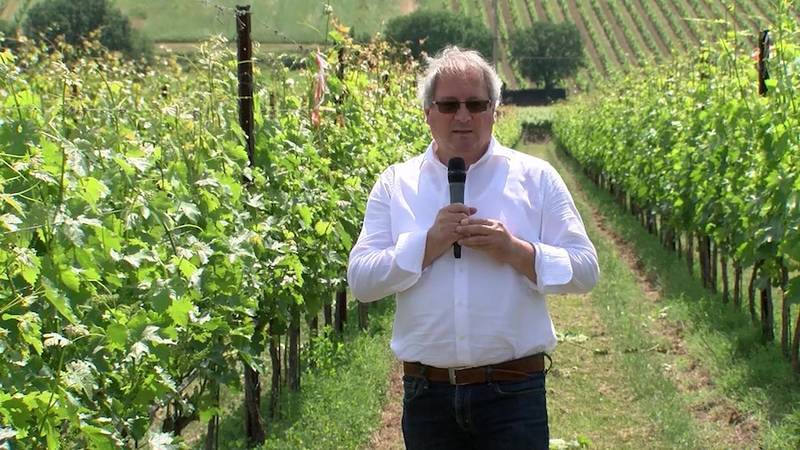 Green Retail  - Meno plastica in campo e in cantina grazie agli scarti della produzione vitivinicola 