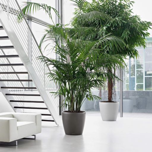 Green Retail  - Initial celebra la National Indoor Plant Week: un inno alle piante che creano benessere 