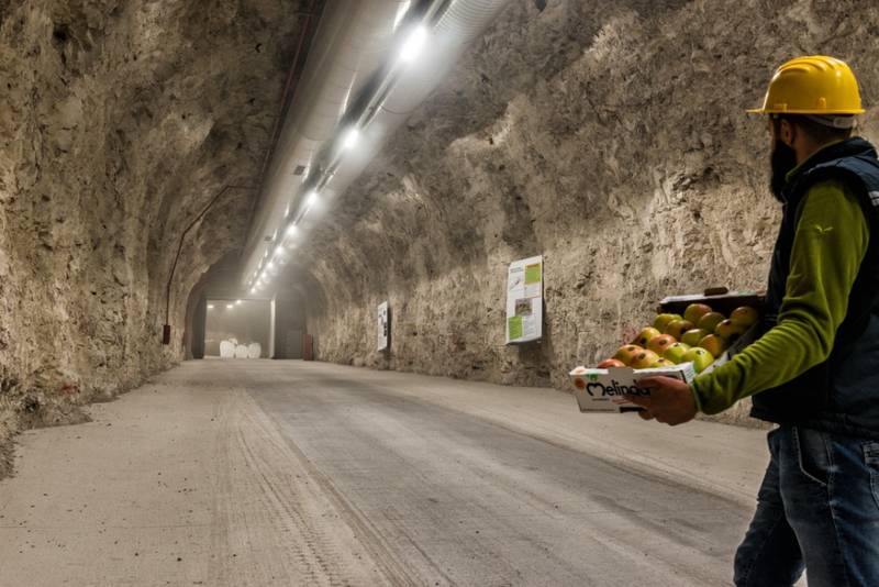 Green Retail  - Sostenibilit&agrave; Melinda: tra efficienza e risparmio energetico 