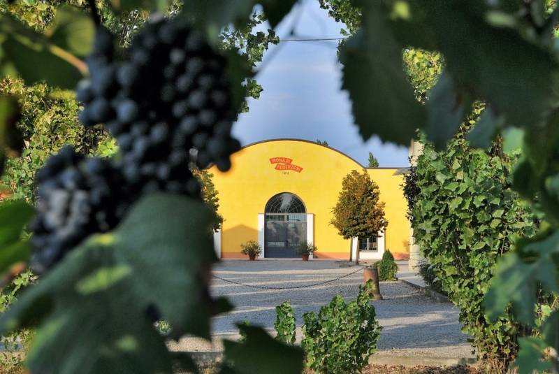 Green Retail - Monari Federzoni: la via sostenibile dell’Aceto Balsamico di Modena Igp Green Retail - Monari Federzoni: la via sostenibile dell’Aceto Balsamico di Modena Igp
