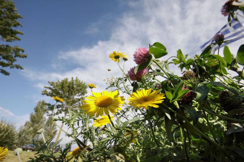 Green Retail  - Giornata Mondiale della biodiversità: l'impegno di Syngenta 