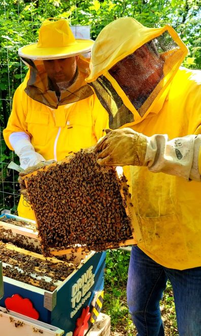 Green Retail  - Nascono gli apiari di Raben Sittam, un nuovo passo avanti sul cammino della tutela ambientale 