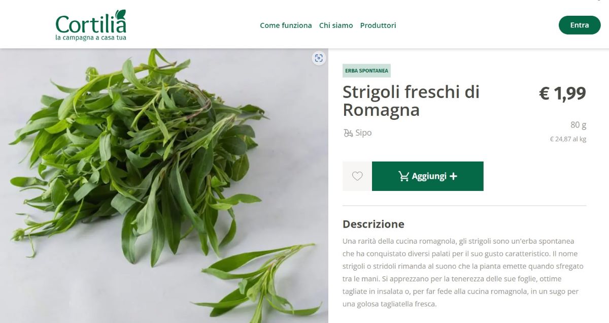 Green Retail  - SUCCESSI & STRATEGIE - Results from #102 