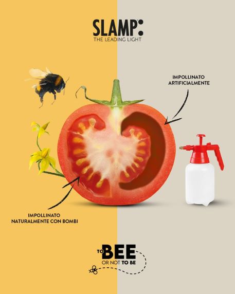 Green Retail  - Slamp: to bee or not to be? 