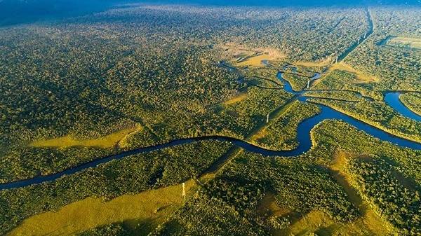 Green Retail  - Nestlé: oltre i tre quarti della supply chain è deforestation-free 