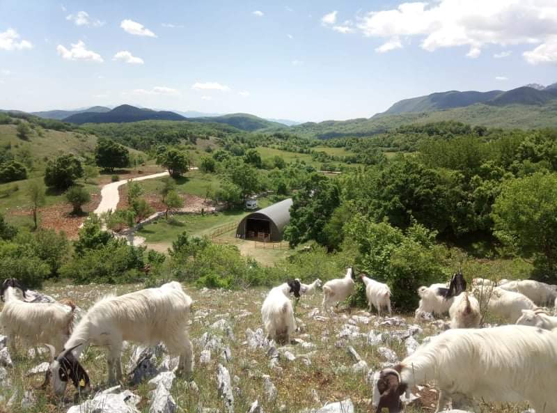 Consulenza e Risorse insieme a Zooristur a favore di un progetto per l’Abruzzo