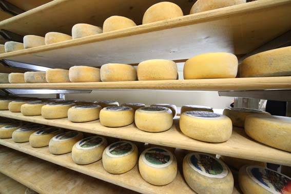 Green Retail  - Sostenibilità, qualità e tradizione: San Lorenzo lancia il nuovo sito per acquistare prodotti bio e Made in Italy 