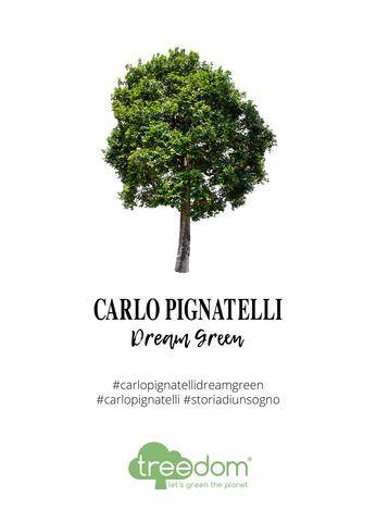 Green Retail  - Carlo Pignatelli lancia l'iniziativa sostenibile con Treedom DreamGreen 