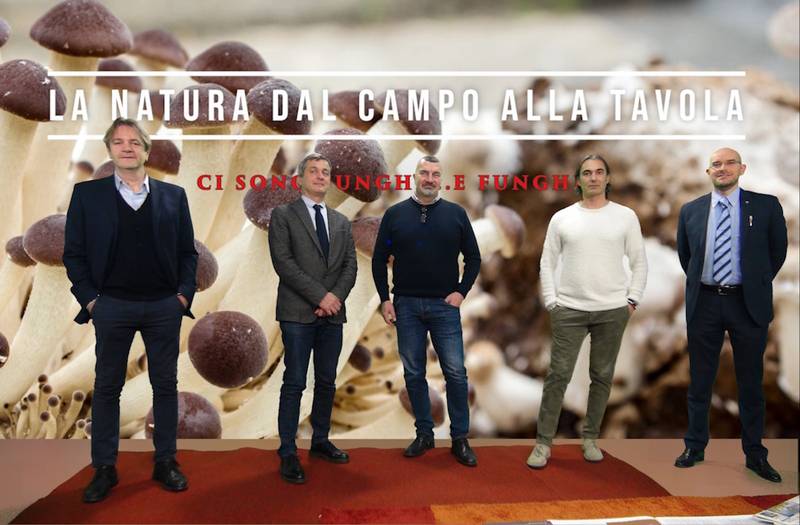 Green Retail  - Ci sono funghi e funghi, il terzo webinar di Sipo sulle eccellenze italiane nell'ortofrutta 