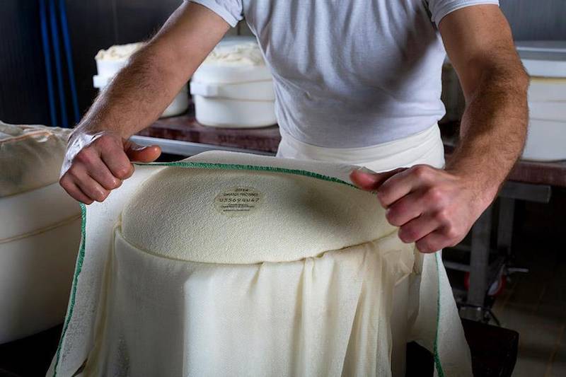 Green Retail  - La filiera green del Grana Padano Dop. Al via il Progetto Life - The Tough Get Going 