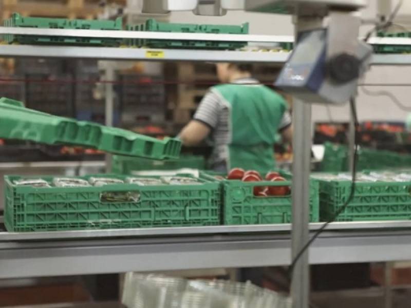 Green Retail  - Con i suoi Rpc, Ifco rinnova l’impegno contro il food waste 