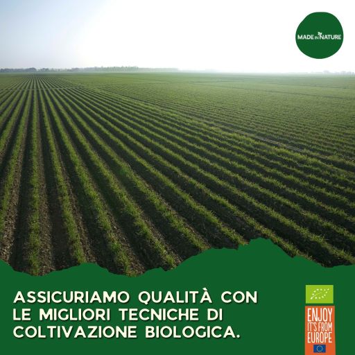 Green Retail  - Made in Nature: il frutteto a zero emissioni apre a Bologna, in collaborazione con Caab e Cucine Popolari 
