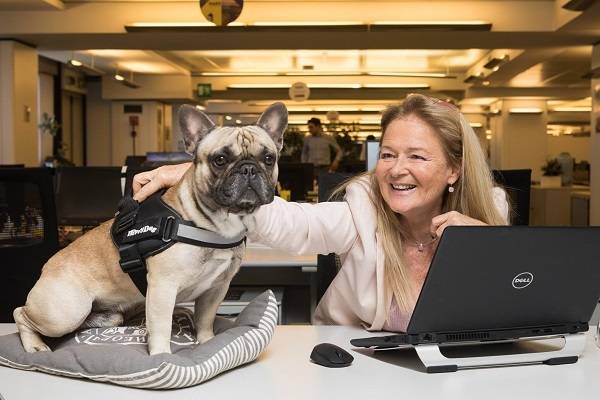 Green Retail  - Mars Italia sostiene l'ufficio pet-friendly 