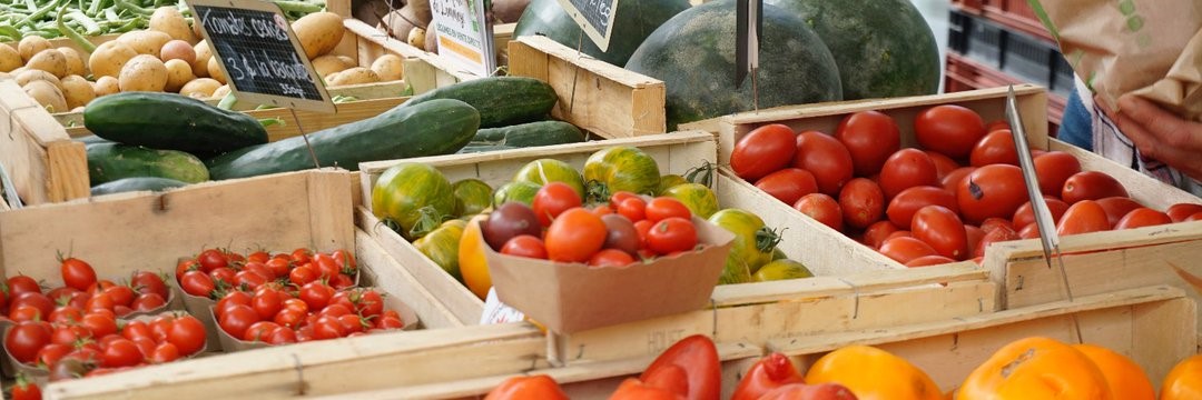 Green Retail  - Agroalimentare più sostenibile? Ci pensa Mats 