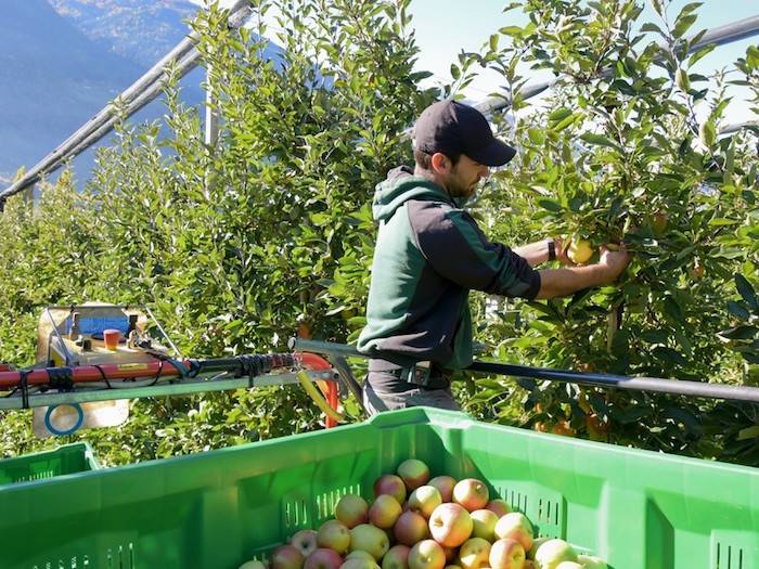 Green Retail  - Vip: in Val Venosta servizi ai coltivatori e cura degli aspetti sociali 