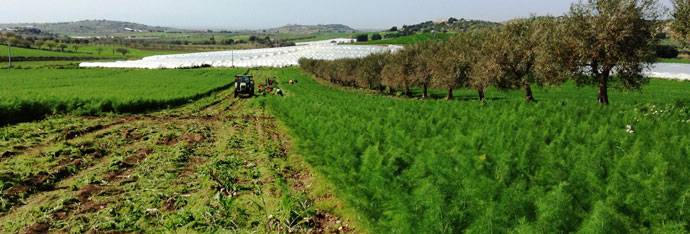 Green Retail  - Natura Iblea al primo posto del welfare aziendale  