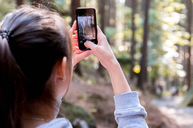 Green Retail  - Scatta il bosco: su Instagram il concorso fotografico di Pefc che racconta le foreste italiane 