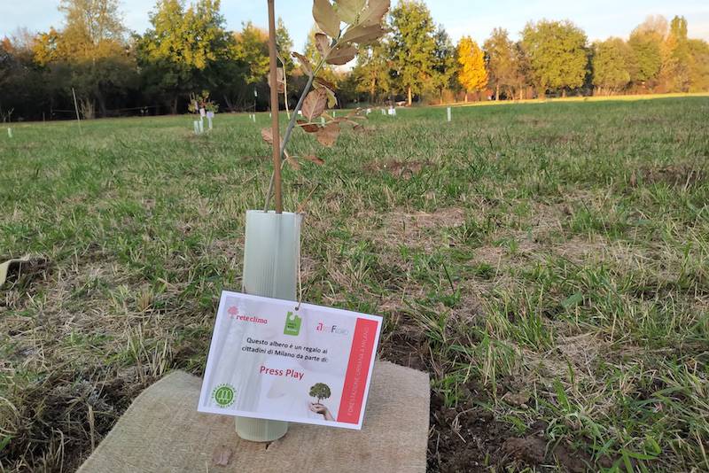 Green Retail  - Giornata Nazionale degli Alberi: Press Play dona 100 alberi alla città di Milano 