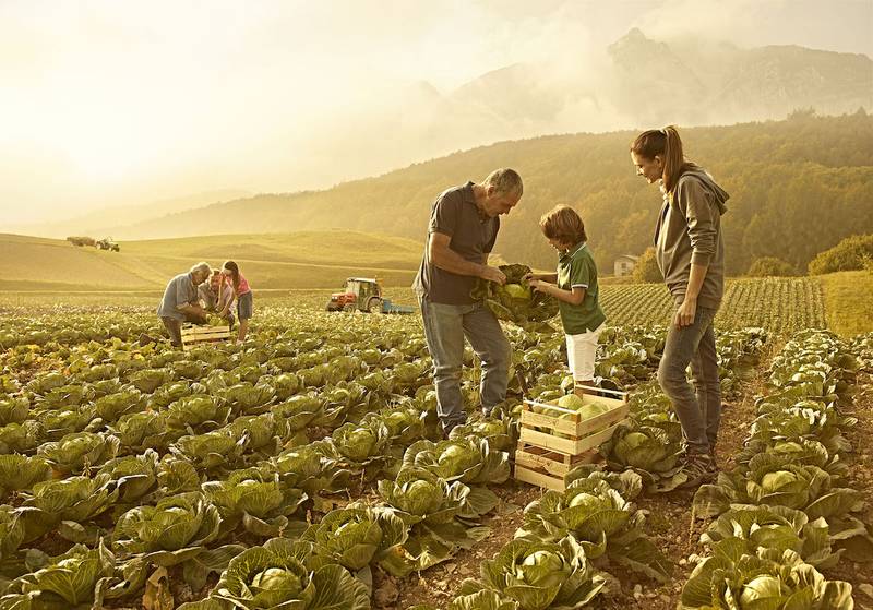 Green Retail  - Nielsen-Assobio. Effetto pandemia, ottimo trend per i consumi bio degli italiani nel 2020 