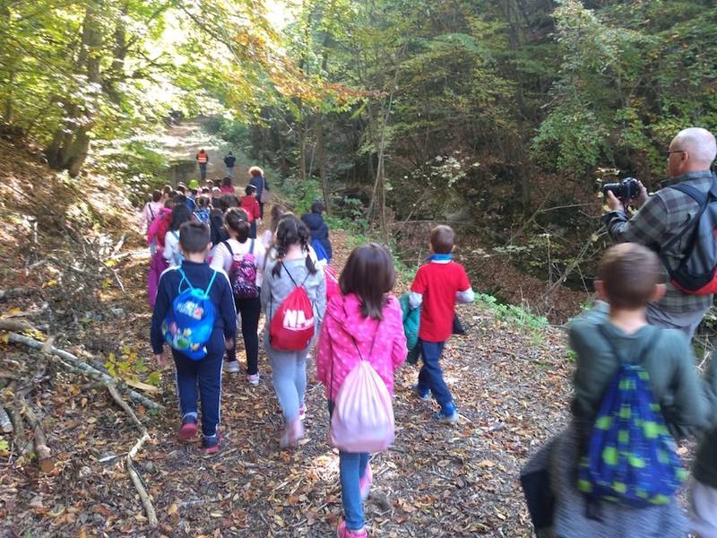 Green Retail  - Giornata internazionale della Montagna: l'acqua che berremo, custodita dalla montagne, non è infinita 