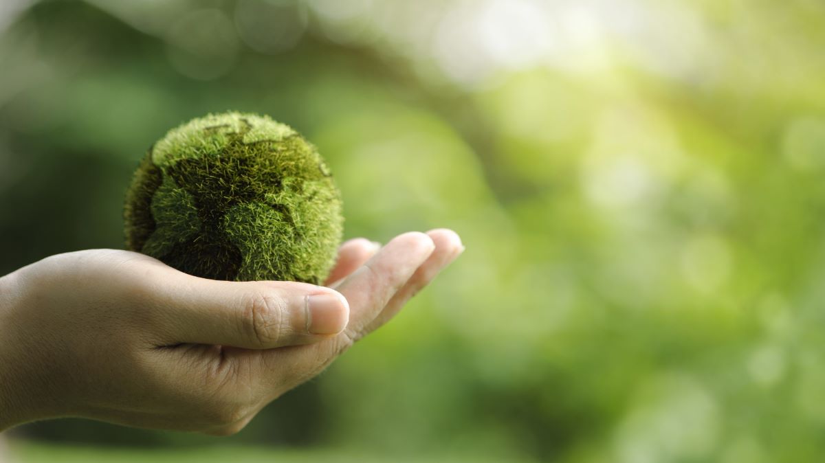 Green Retail  - Osservatorio Pulsee Luce & Gas: solo un italiano su due conosce il termine “transizione ecologica” 