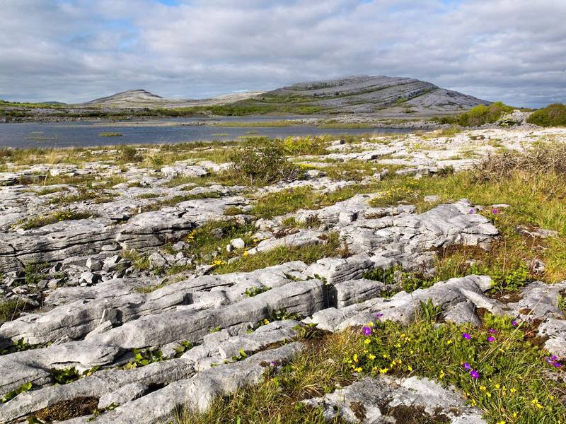 Green Retail  - Irlanda: la destinazione offre diverse opzioni per vacanze a basso impatto ambientale 