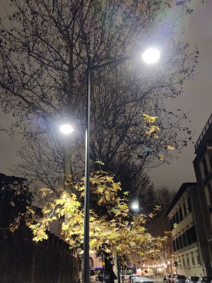 Green Retail  - Effetto hangover sugli alberi e autunno in ritardo in città per l’impatto dei lampioni Led 
