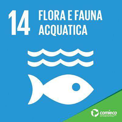 Green Retail  - Best Pack e il Goal n.14 - Flora e fauna acquatica. Gli imballaggi biodegradabili 