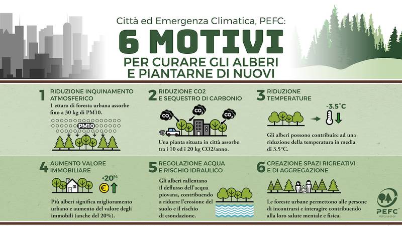 Green Retail  - Città e cambiamenti climatici. Da Pefc 6 motivi per curare gli alberi e piantarne di nuovi 