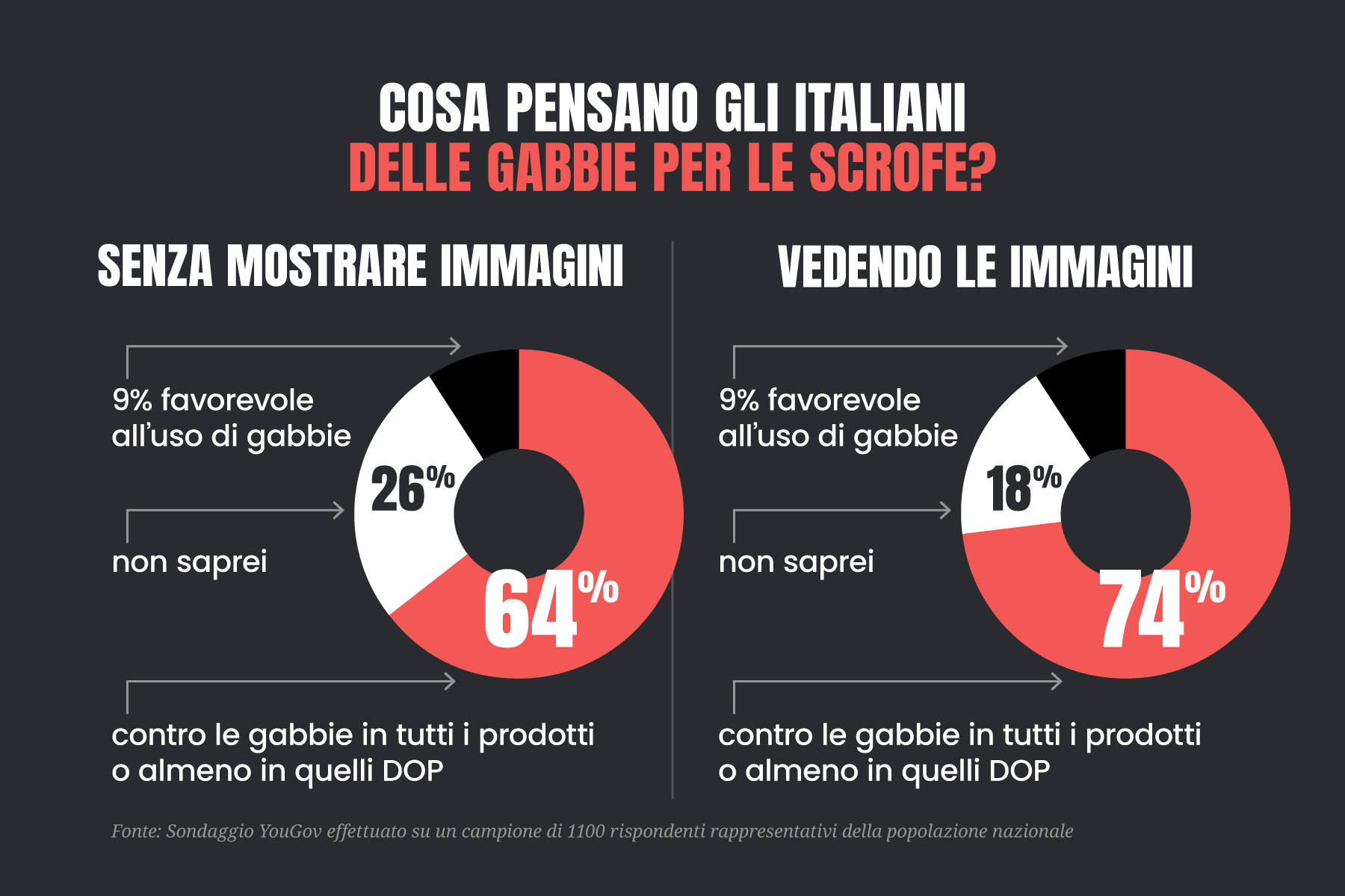 Green Retail  - Nuovo sondaggio YouGov: la maggioranza degli italiani è contro le gabbie per le scrofe 