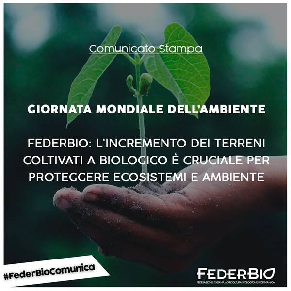 Green Retail - FederBio: i terreni coltivati a biologico proteggono ecosistemi e ambiente Green Retail - FederBio: i terreni coltivati a biologico proteggono ecosistemi e ambiente