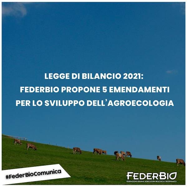 Green Retail  - Legge di Bilancio 2021: FederBio propone 5 emendamenti per lo sviluppo dell'agroecologia 