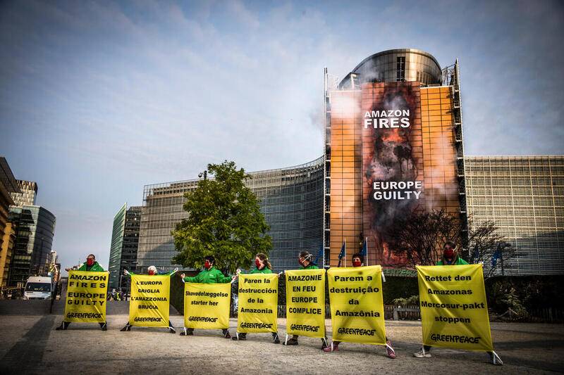 Green Retail  - Greenpeace: la carne venduta in Europa e’ legata alla distruzione del Pantanal 