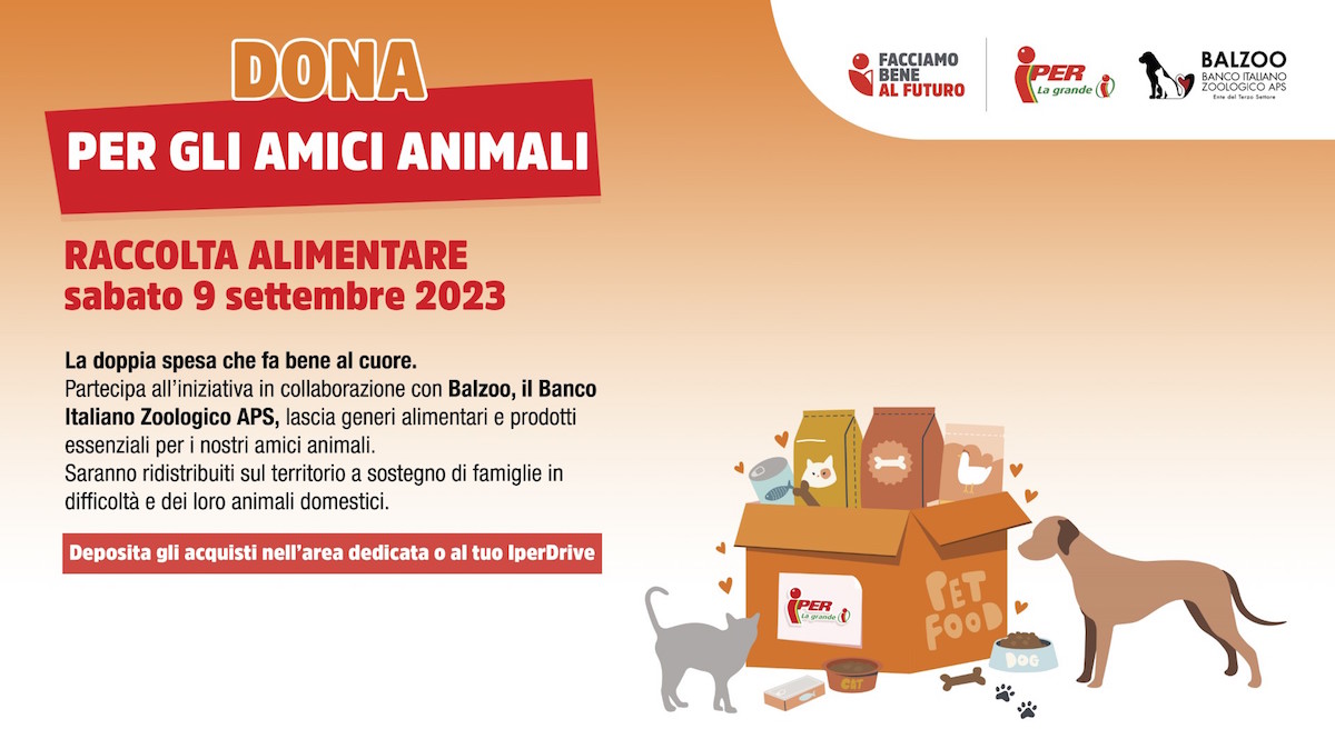 Balzoo e Finiper Canova Group organizzano insieme una raccolta alimentare a favore di cani e gatti in difficoltà