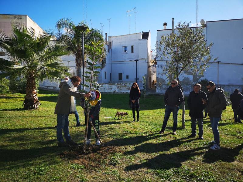 Green Retail  - 250 alberi per parchi e giardini più green: l'iniziativa dei centri commerciali Mongolfiera e Legambiente 