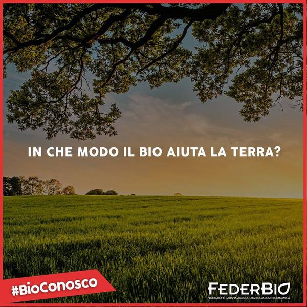 Green Retail  - 16 ottobre - Giornata mondiale dell'alimentazione  