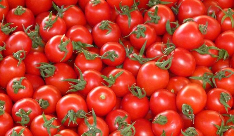 Green Retail  - Prezzi: Coldiretti, a Natale si pagherà più la bottiglia del pomodoro 