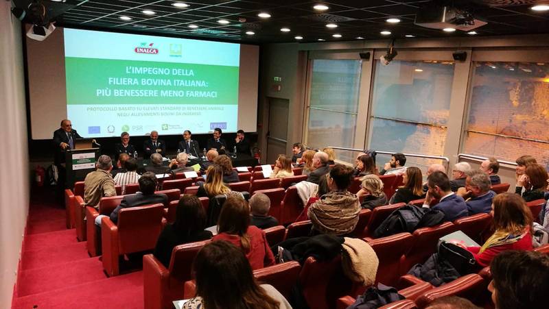 Green Retail  - Inalca, più benessere e meno farmaci nelle carni bovine 