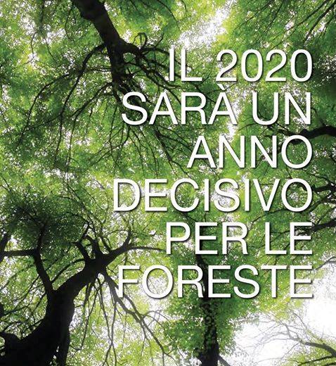 Green Retail - 21 marzo, giornata internazionale delle foreste Green Retail - 21 marzo, giornata internazionale delle foreste