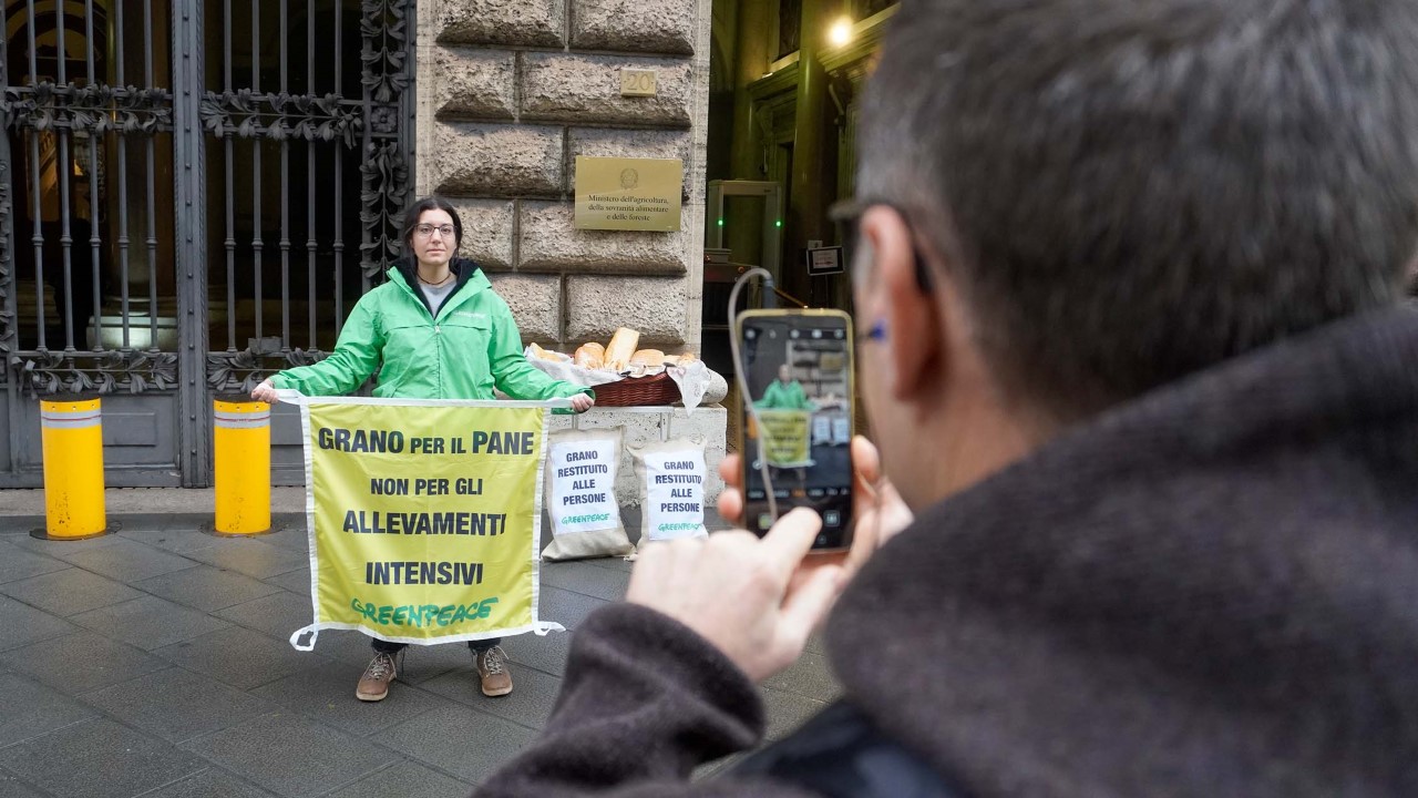 Green Retail  - Greenpeace regala al ministro dell’agricoltura Lollobrigida il pane prodotto con grano altrimenti destinato agli allevamenti intensivi 