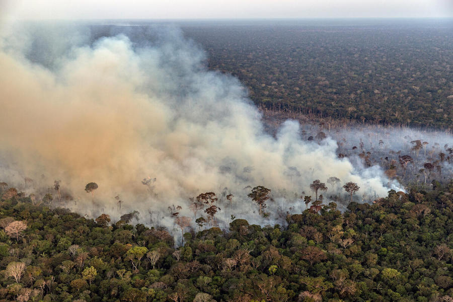 Greenpeace: ancora troppi incendi in Amazzonia, +5,3% rispetto a un anno fa