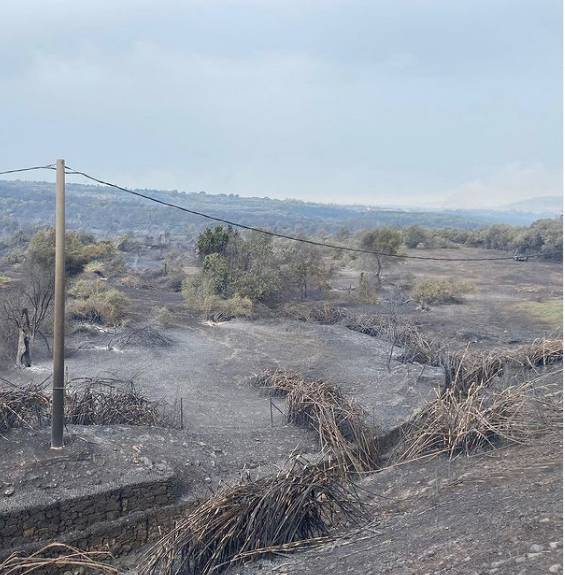 Green Retail  - Coldiretti, le condizioni del clima favoriscono il propagarsi di incendi 