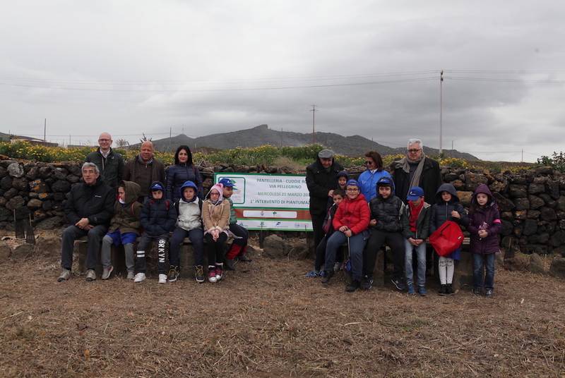 Green Retail  - A Pantelleria messa a dimora delle prime 250 piante di mirto per non dimenticare l’incendio del 2016 