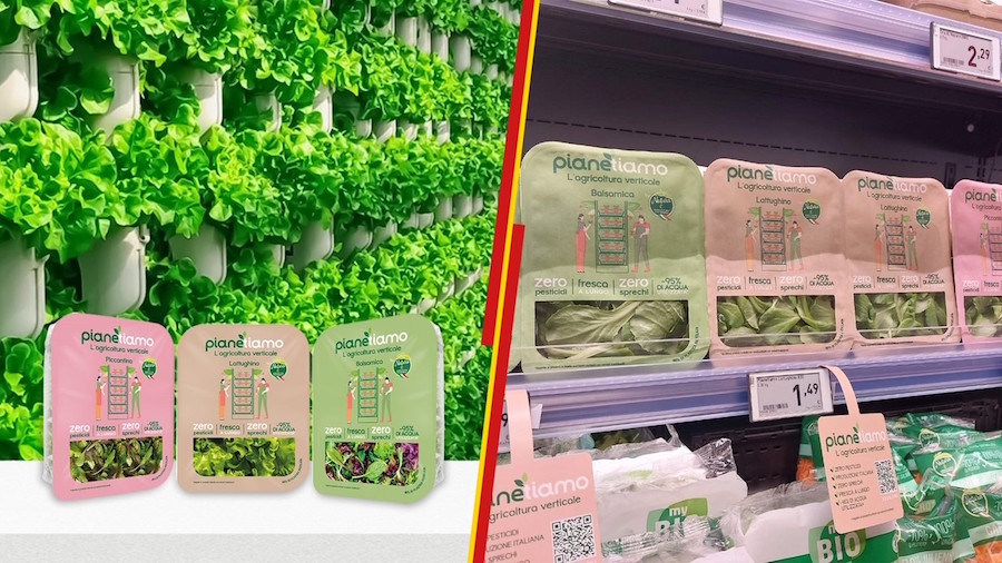 Green Retail  - Con “pianetiamo” Penny Italia investe nell’agricoltura sostenibile 