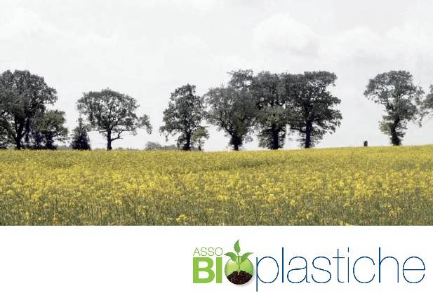 Assobioplastiche su studio Università di Plymouth