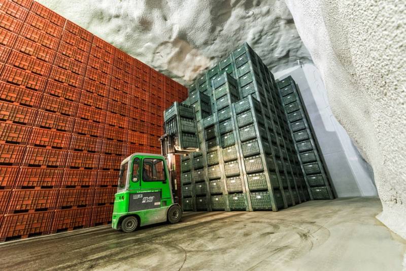 Green Retail  - Sostenibilit&agrave; Melinda: tra efficienza e risparmio energetico 