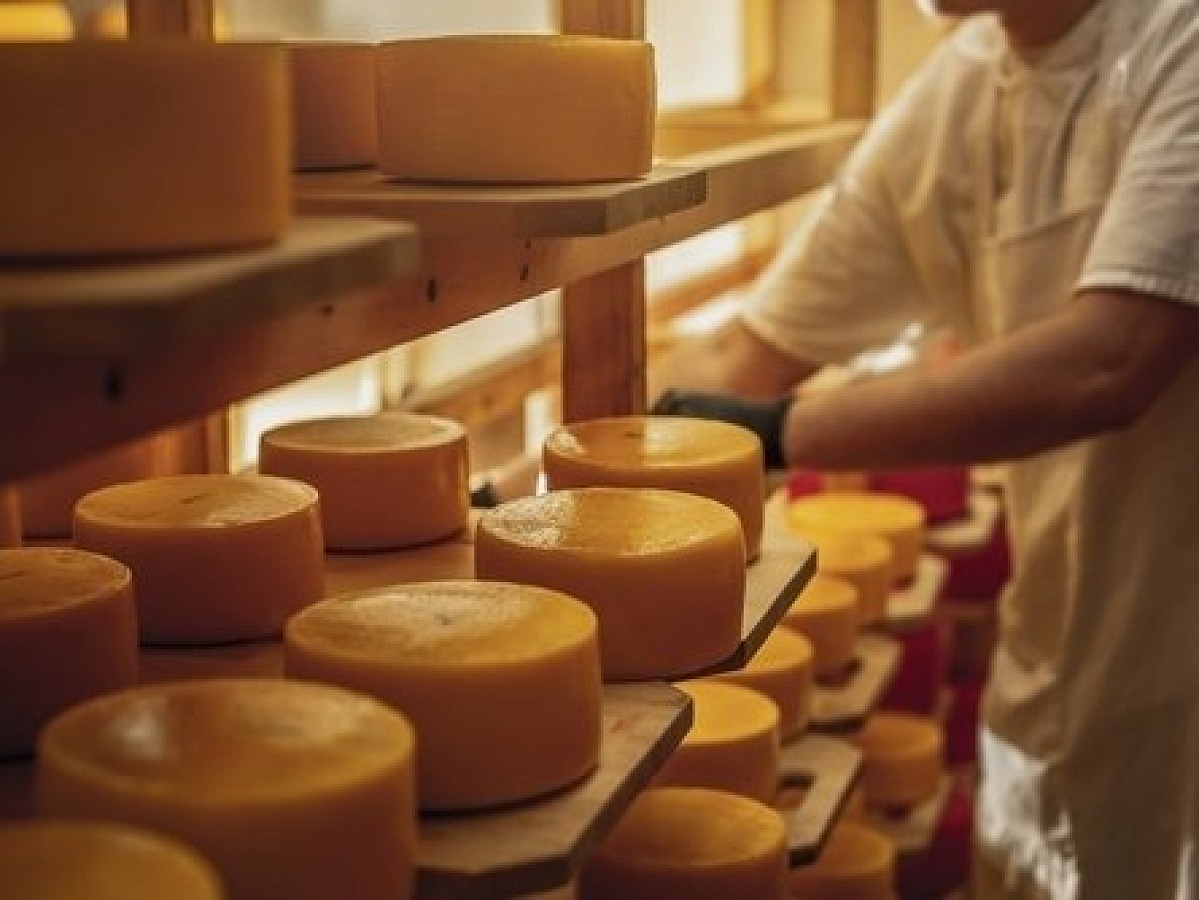 Green Retail  - Il primo quotidiano sulla sostenibilità nel retail 