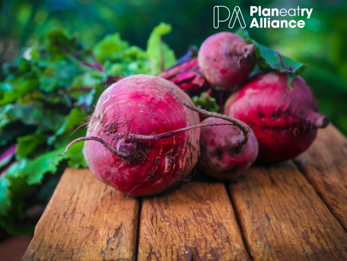 Green Retail  - Il primo quotidiano sulla sostenibilit&agrave; nel retail 